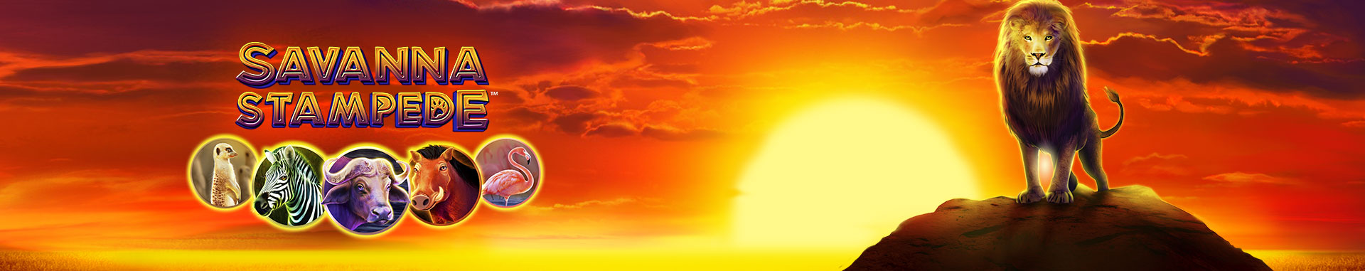 Conoce la tragaperras Savanna Stampede