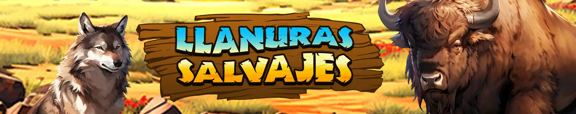 Video Bingo online Llanuras Salvajes